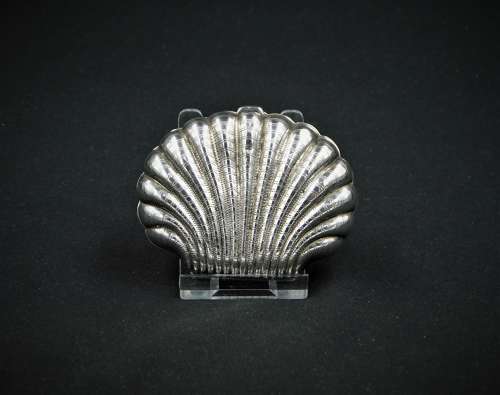 Silver Purse