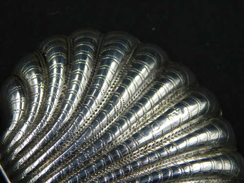 Silver Purse