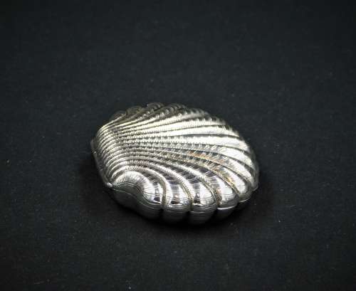 Silver Purse