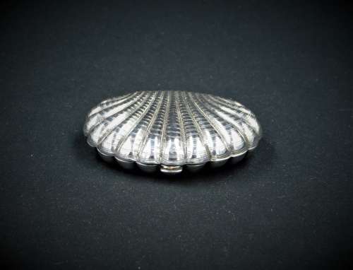 Silver Purse